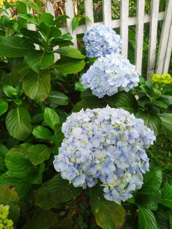 Recanto Das Flores São Tomé das Letras 외부 사진