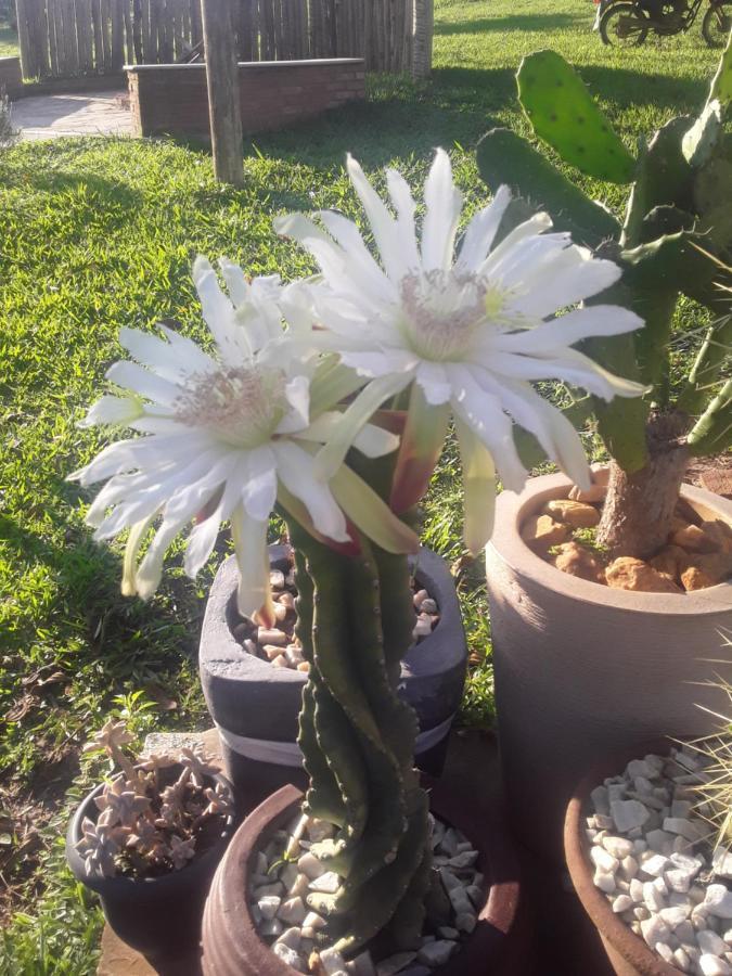 Recanto Das Flores São Tomé das Letras 외부 사진